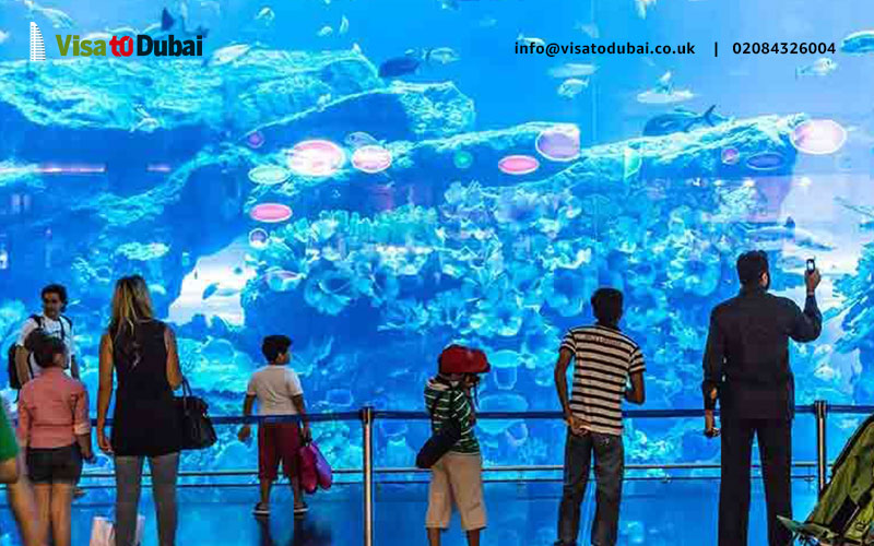 All the necessary details required for your travel to national Aquarium